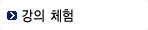 강의 체험