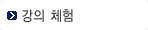 강의 체험